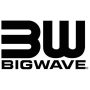 cropped-BIGWAVE-LOGO-512X512-1.jpg